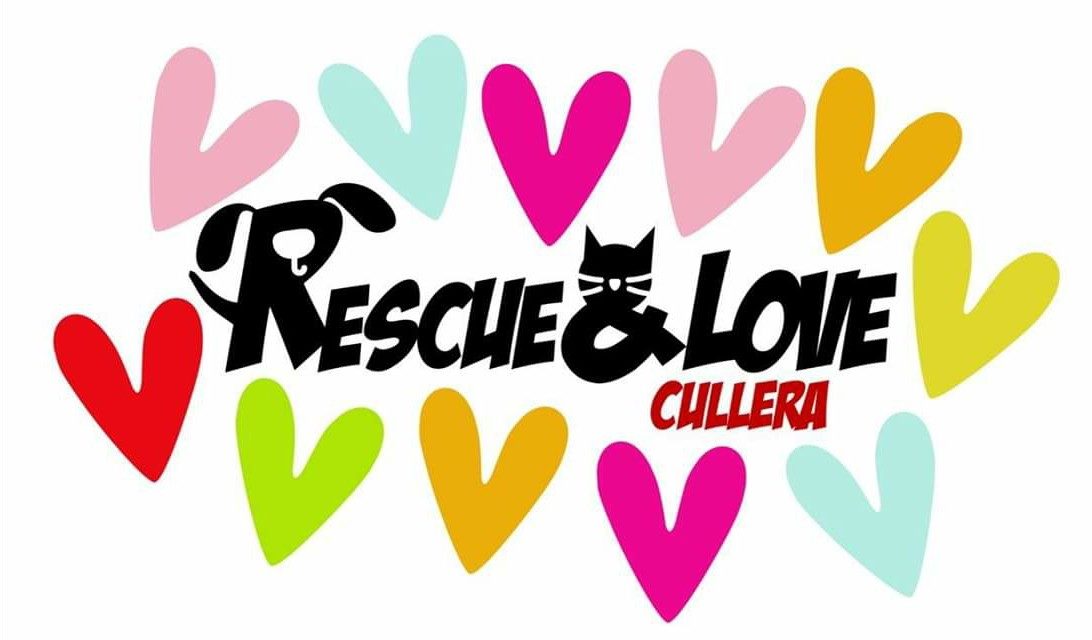 RESCUE AND LOVE